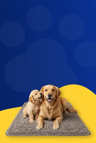 Dogs on Muddy Mat