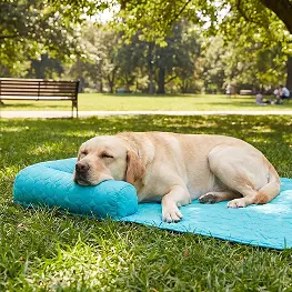 cooling-cuddler-mat-at-park
