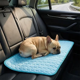 cooling-mat-in-car