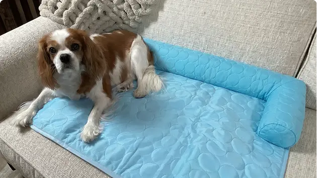 https://d31j9hgdva1w9a.cloudfront.net/muddymatcom/main-page/reviews/cooling-cuddler-mat-comment-1.webp