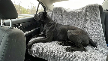 https://d31j9hgdva1w9a.cloudfront.net/muddymatcom/main-page/reviews/dog-blanket-comment-2.webp