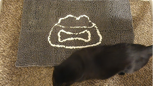 https://d31j9hgdva1w9a.cloudfront.net/muddymatcom/main-page/reviews/printed-pet-bowl-comment-4.webp