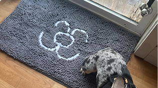 https://d31j9hgdva1w9a.cloudfront.net/muddymatcom/main-page/reviews/printed-pet-face-comment-4.webp