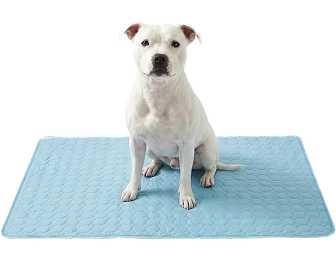 cooling-mat-medium