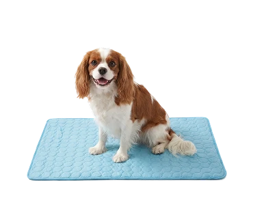 cooling-mat-small