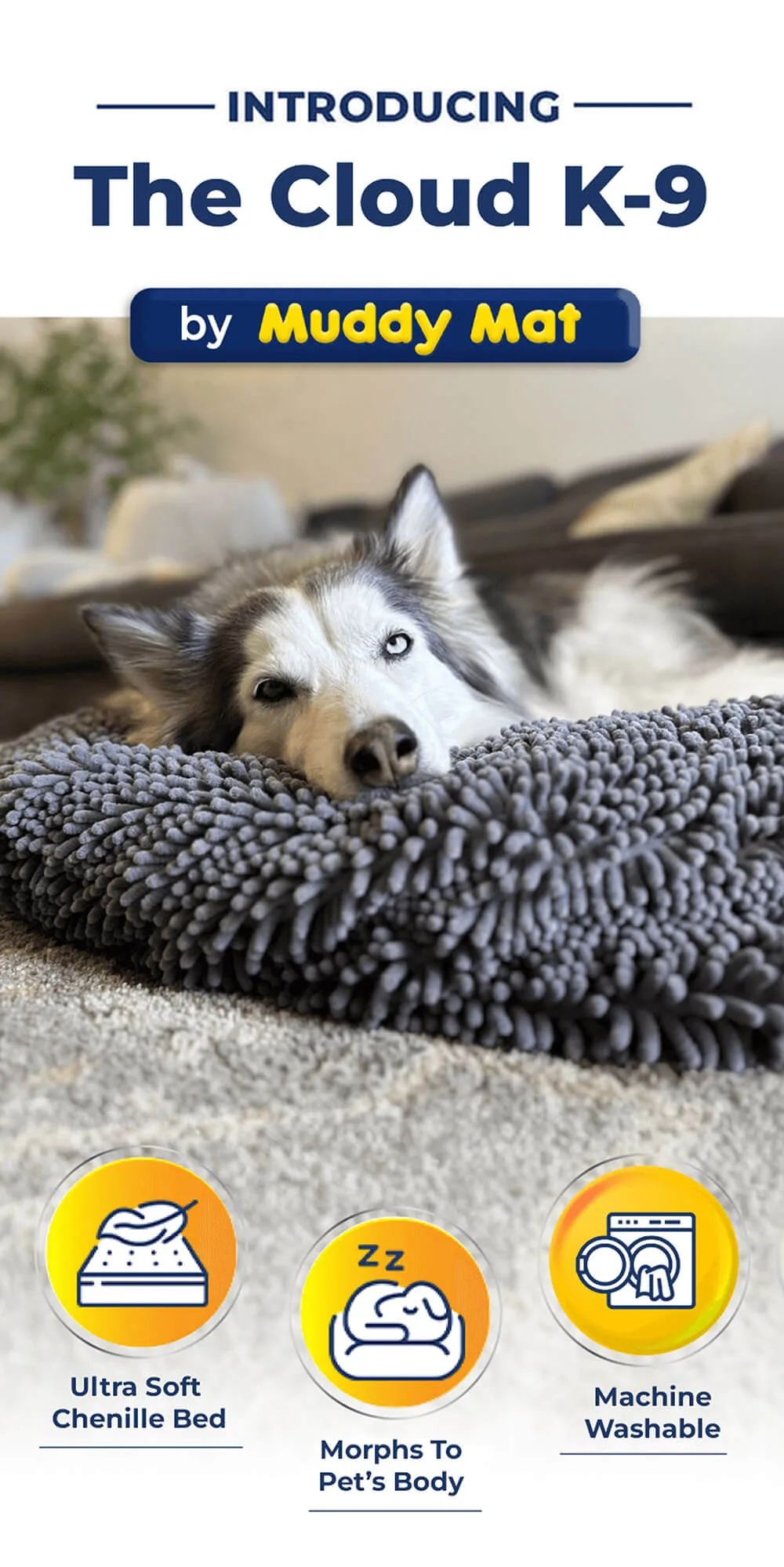 Introducing k9 (mobile)