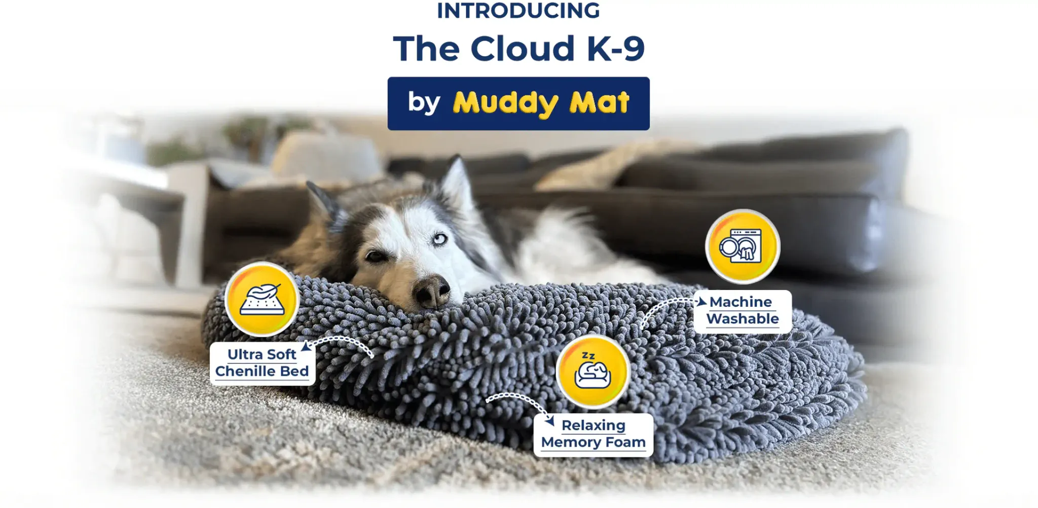 Introducing k9 (desktop)