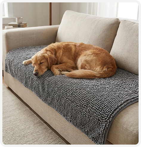 Dog on couch with cover
