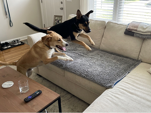 Use them on the couch, the bed, everywhere