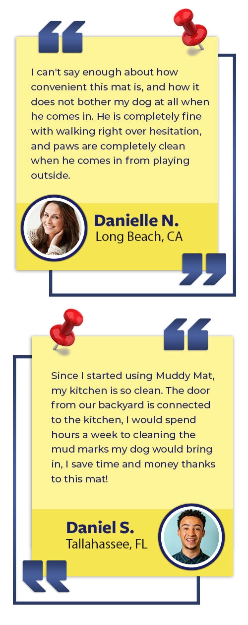 Reviews first section