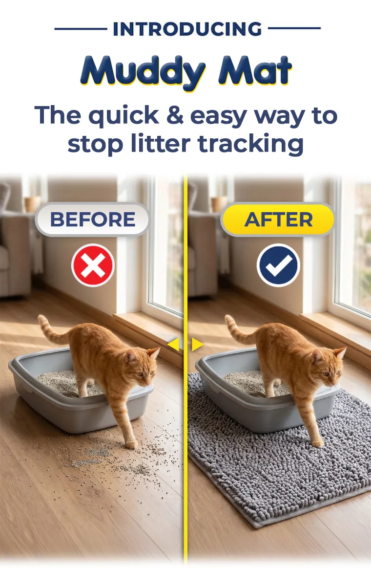 before and after comparison