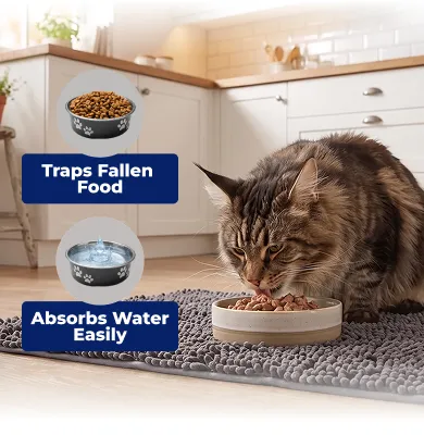 Food and water section