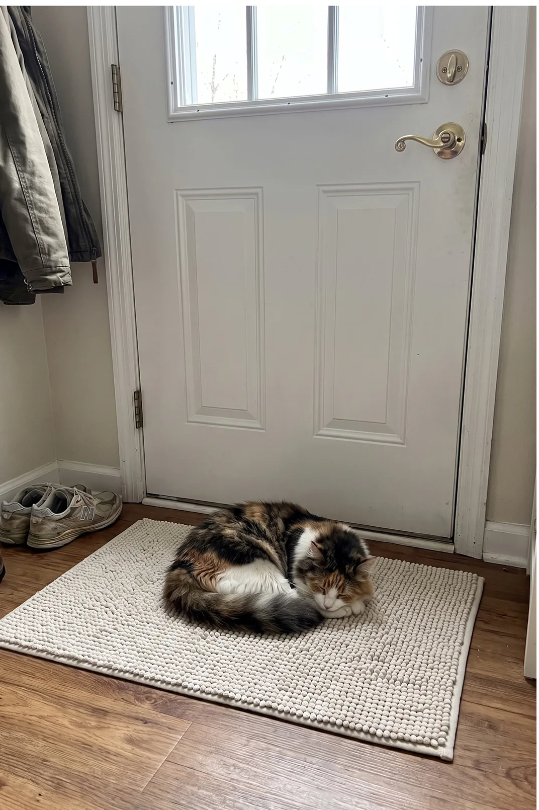 So soft my cat sleeps on it