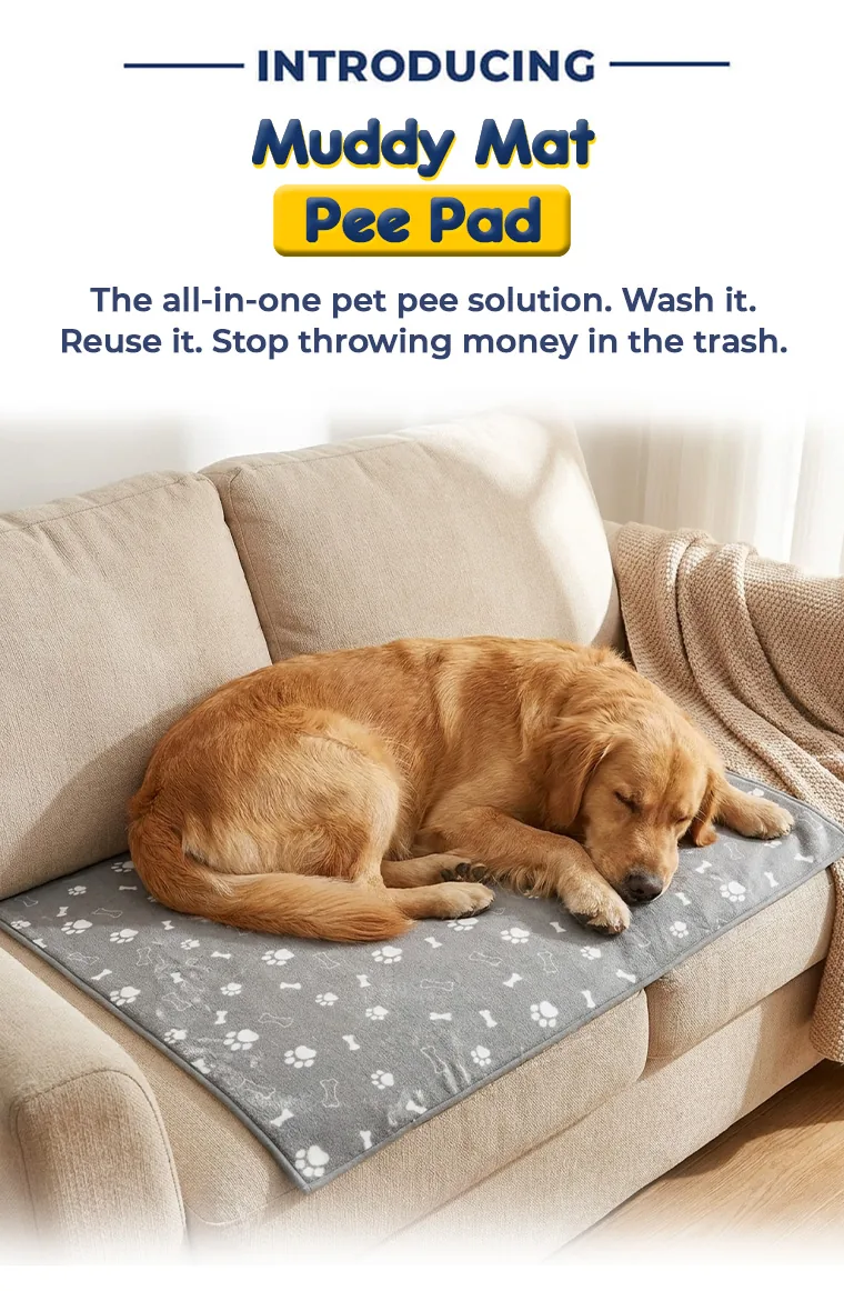 Introducing Muddy Mat Pee Pad