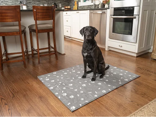 Finally, our home feels normal again