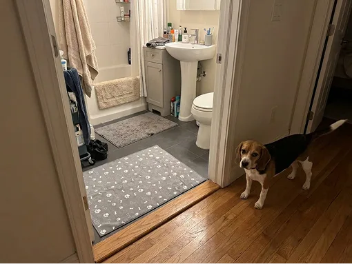 Apartment-living essential